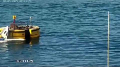 Don't Text And Drive