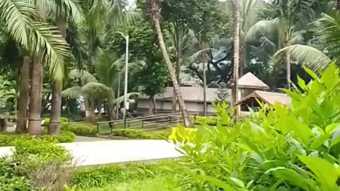 Small Kids Big Fun 😍 | Innocent Playtime Video