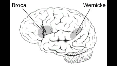 Stardusk Determinism, Utilitarianism, and Free Will