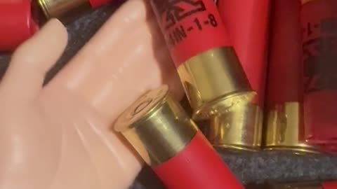 Friday Freedom Seeds with SPH featuring 16 gauge!!! #2A #funny