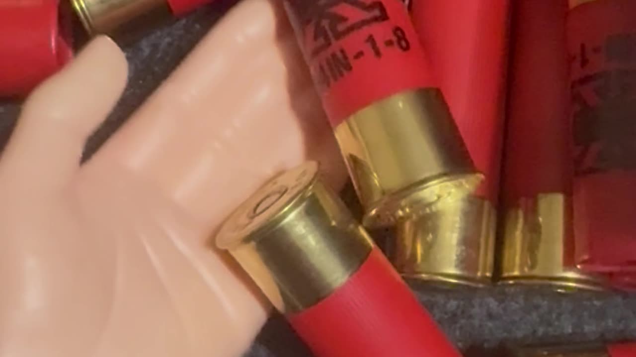 Friday Freedom Seeds with SPH featuring 16 gauge!!! #2A #funny