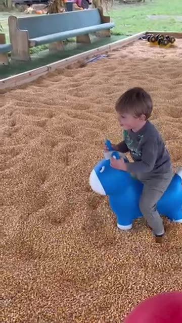 Boy Hops Toy Horse Head-First Into Corn