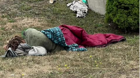 If you tolerate this, your children could be next Saint John New Brunswick, Canada 🇨🇦 WAKE UP!
