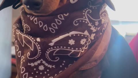 Cutest & Smallest Cowboy Around These Parts!🤣🥰