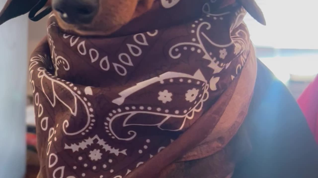 Cutest & Smallest Cowboy Around These Parts!🤣🥰