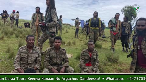 Gabaasa Tarkaanfii ONM-ABO Onkoloolessa 19-2025 itti dhiyaadhaa!