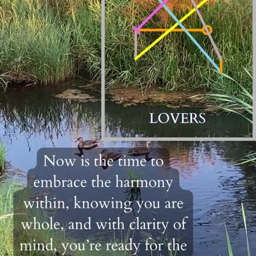 Connect With Experience | Path and Tarot Reading