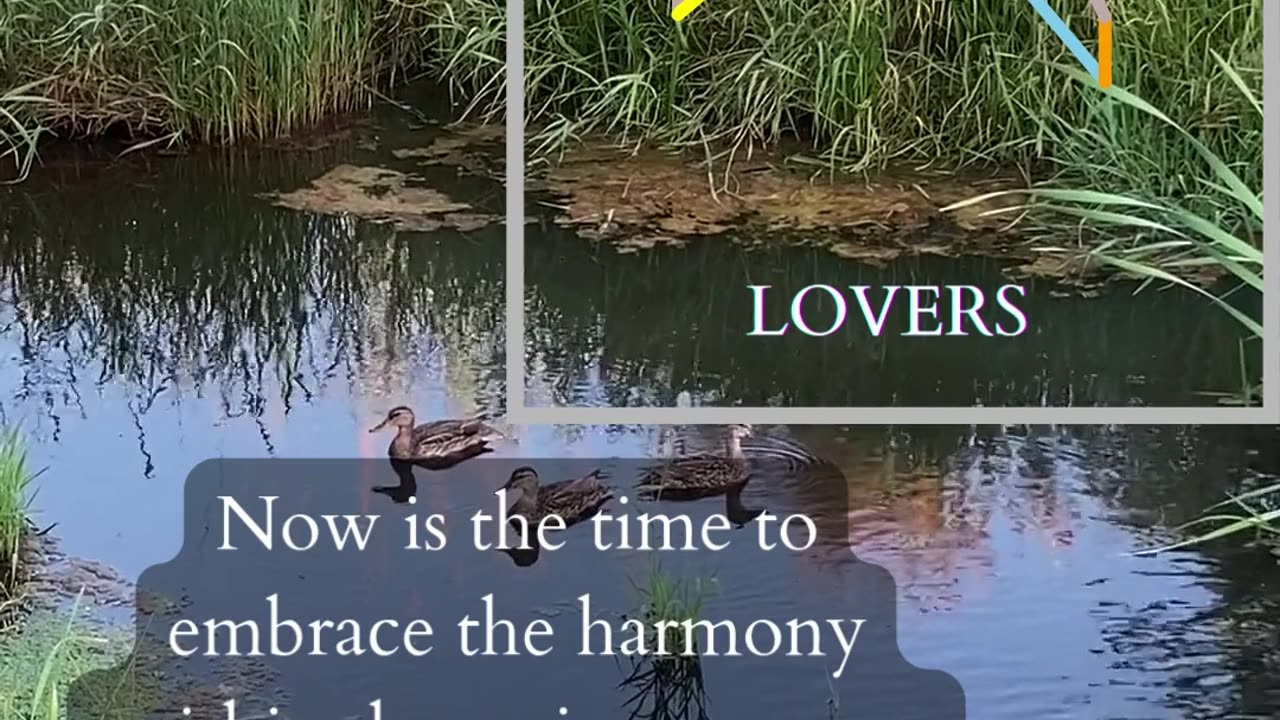 Connect With Experience | Path and Tarot Reading