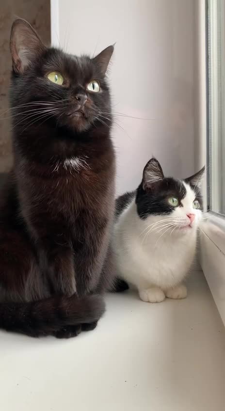 New dance tune was born 😂