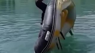 🔥 Top Videos You Have to See to Believe 💯SGE