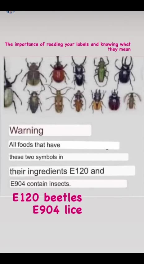 E120 and E904 are additives found in many food products that are derived from insects