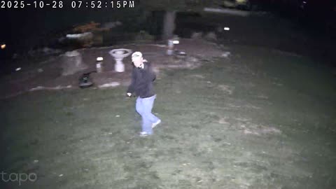 Tapo C615F Solar Floodlight RAW Video Footage