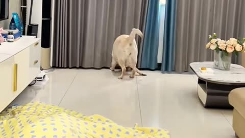 👍💯 The Secret To Making Life Easier! | LifeHacksDaily