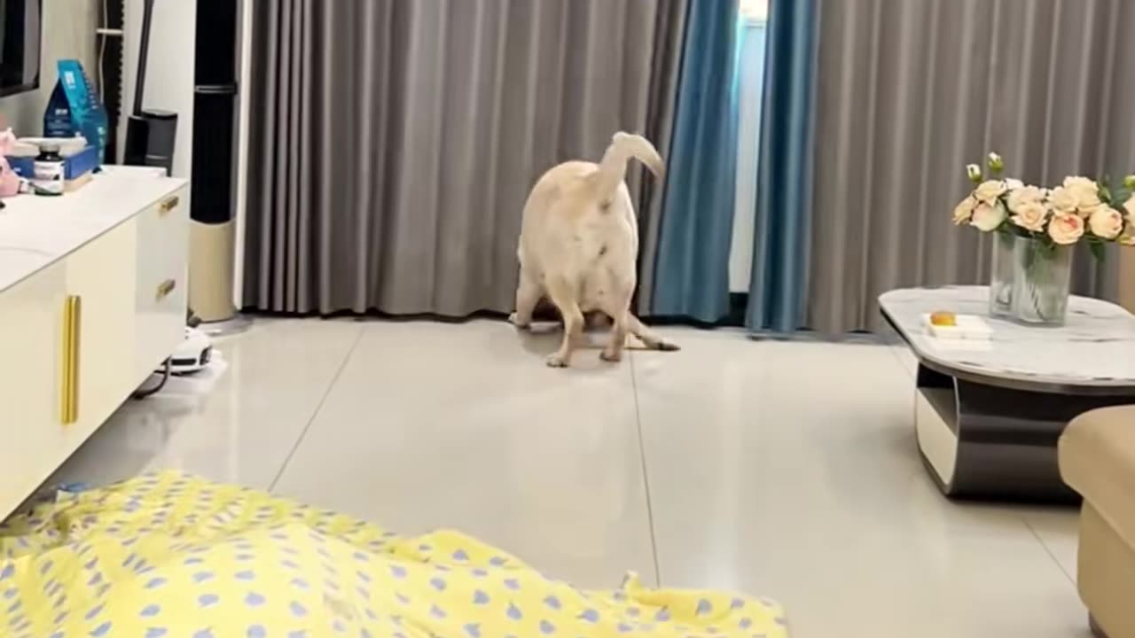 👍💯 The Secret To Making Life Easier! | LifeHacksDaily