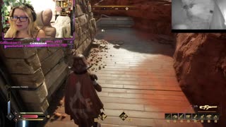 Chicken Live Stream