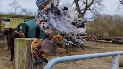 The Garden That Breathes