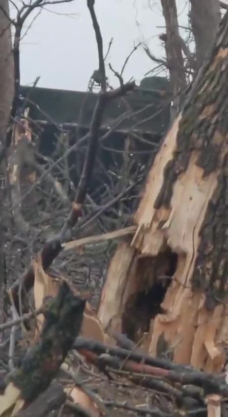 A Haunting Look Across No-Man's Land Along The Zero Line