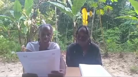 BIRTH CERTIFICATE SLAVERY North/South Pacific Territories.