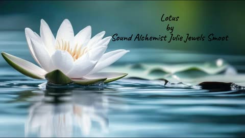 Lotus