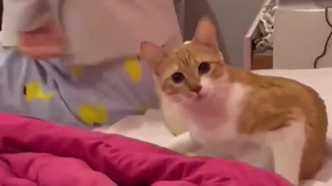 "What's wrong with your daughter?"