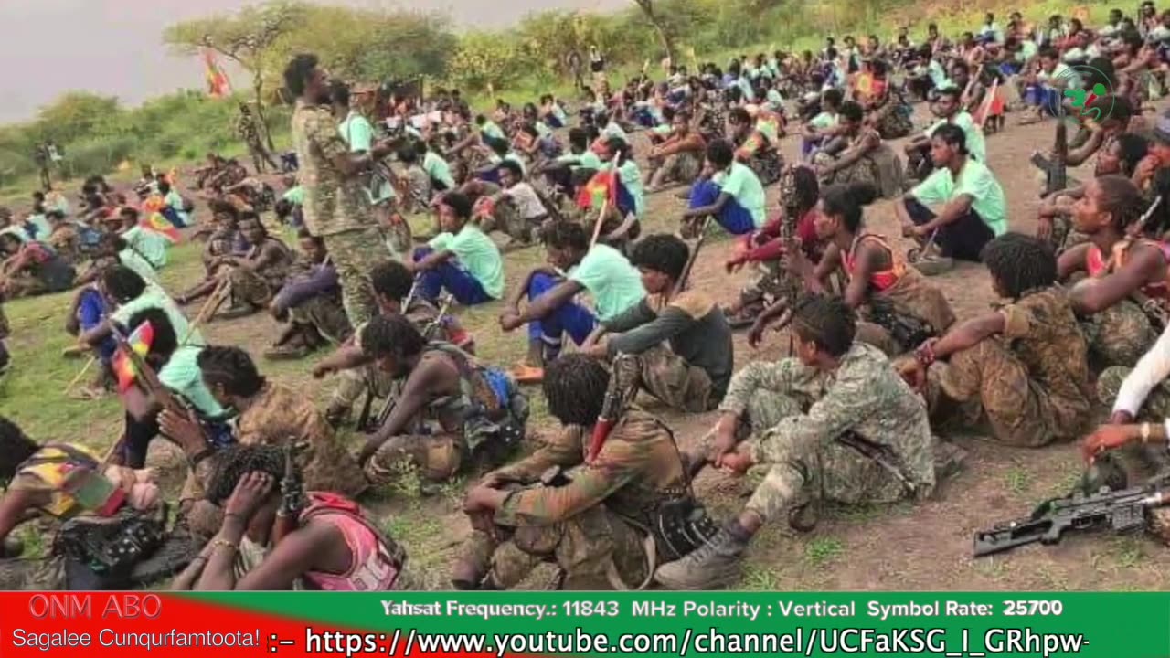 Gabaasa Tarkaanfii ONM-ABO Guraandhala 18-2025 itti dhiyaadhaaa!