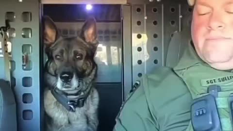 K9 partner retired ! Dog's last shift 🐕‍🦺 ♥️