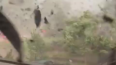 Viral: What it's like inside a tornado! 🤯🌪️ - 🎥 Viralhog