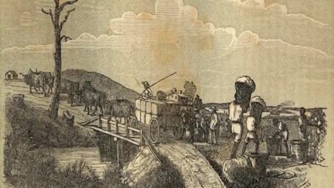 UP FROM SLAVERY Part 5 - Abolition from the North Grows