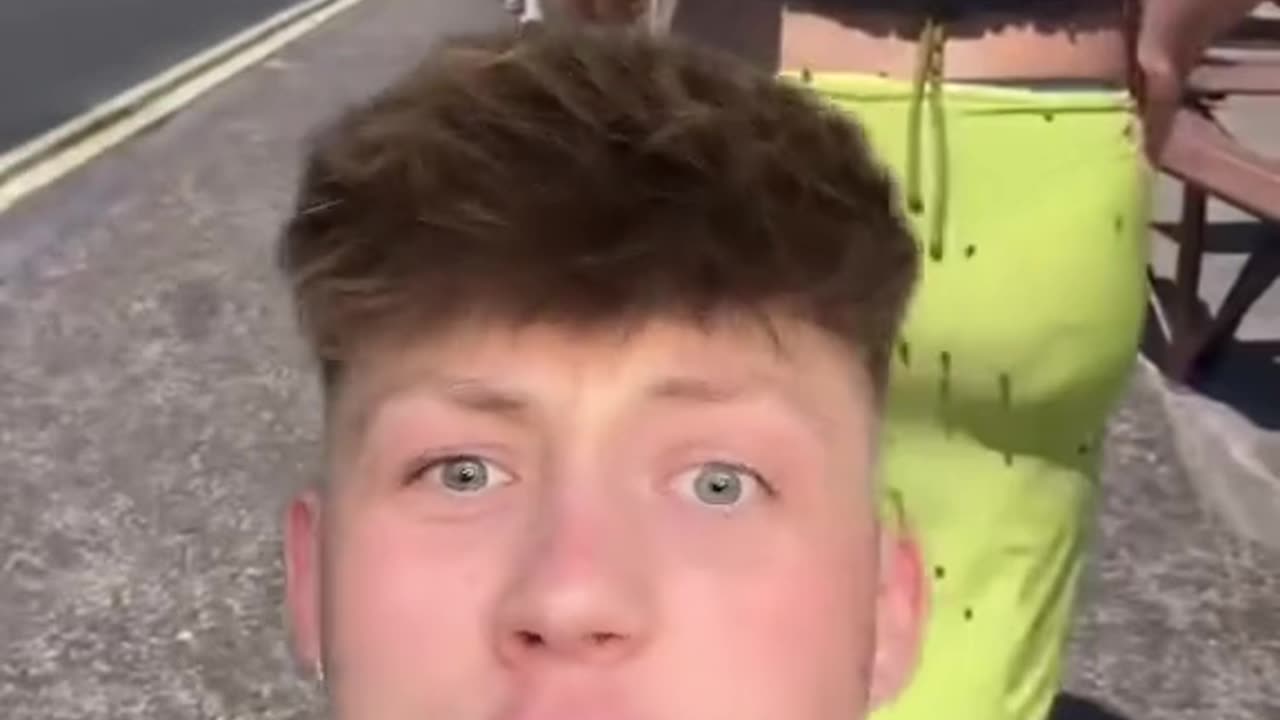 Lady bug outbreak in the UK part 1