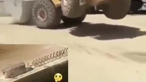 ..and all without diesel or electrical power.