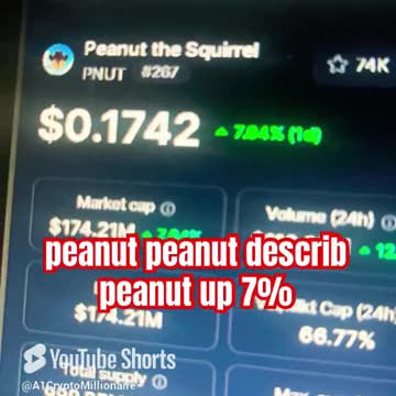 peanut the squirrel coin price prediction! #fyp
