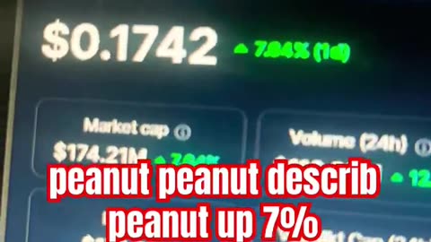 peanut the squirrel coin price prediction! #fyp