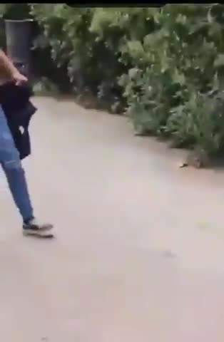 Id beat the fuck out of that cunt - it wouldn't walk for a month