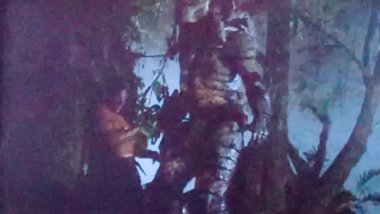 #predator, the only scene where he looks bigger than humans,