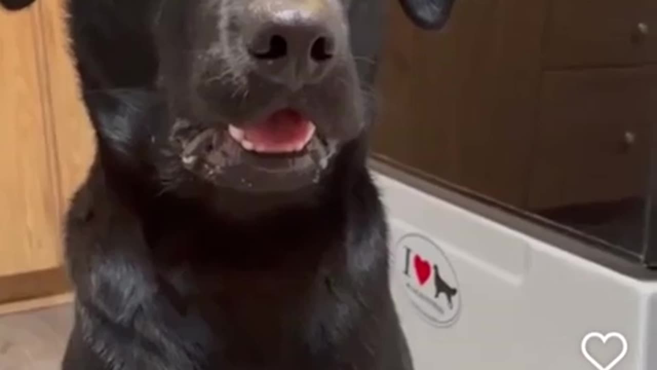 😂🤝 The Funniest Way To Be Polite Ever! | FunFM