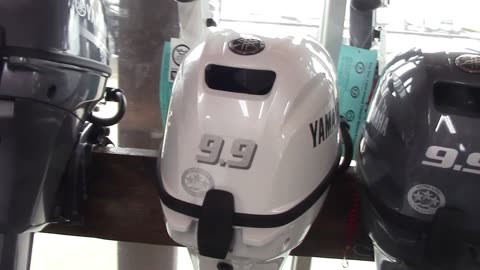 Yamaha 9.9 outboard