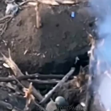 Ukraine war combat footage 2/2/25 WTF