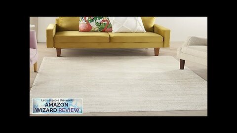 Nourison Essentials Indoor/Outdoor Ivory Beige 6' x 9' Area Rug Easy Cleaning Review