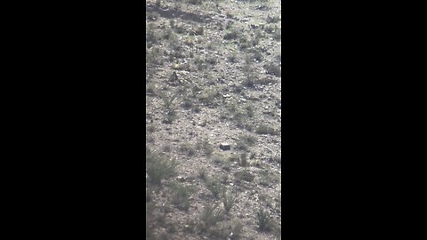 25 Creedmoor 1103 Yards, Josh Lynch