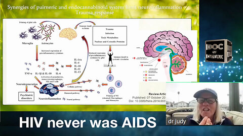 HIV never was AIDS