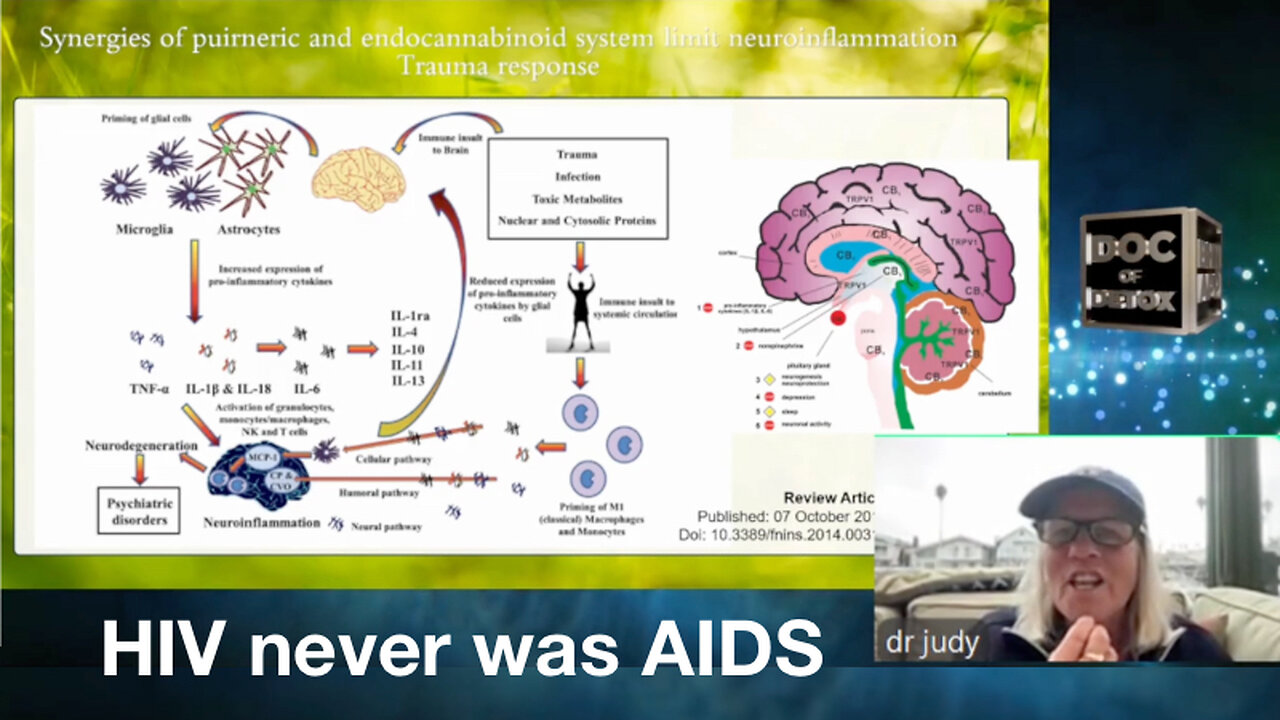 HIV never was AIDS