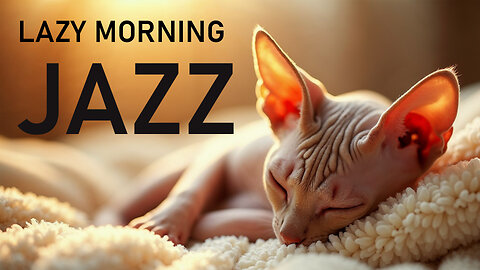 Lazy Morning Jazz | Smooth Music to Ease You into the Day