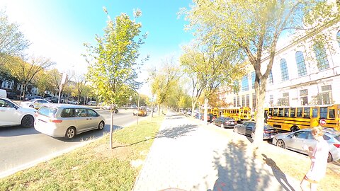 NO STRUGGLE NO PROGRESS