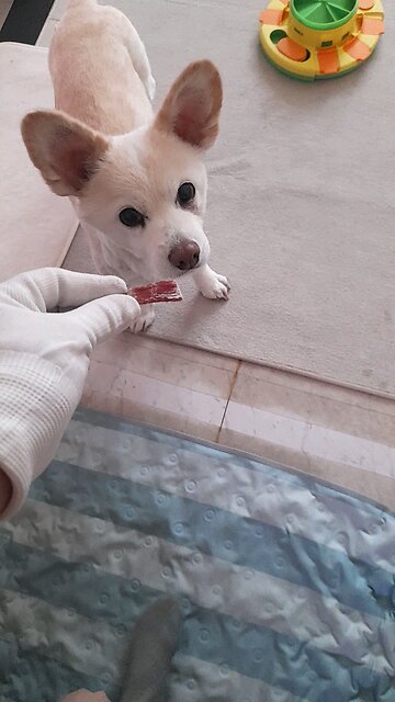 20251104. God Made The World. Amen.