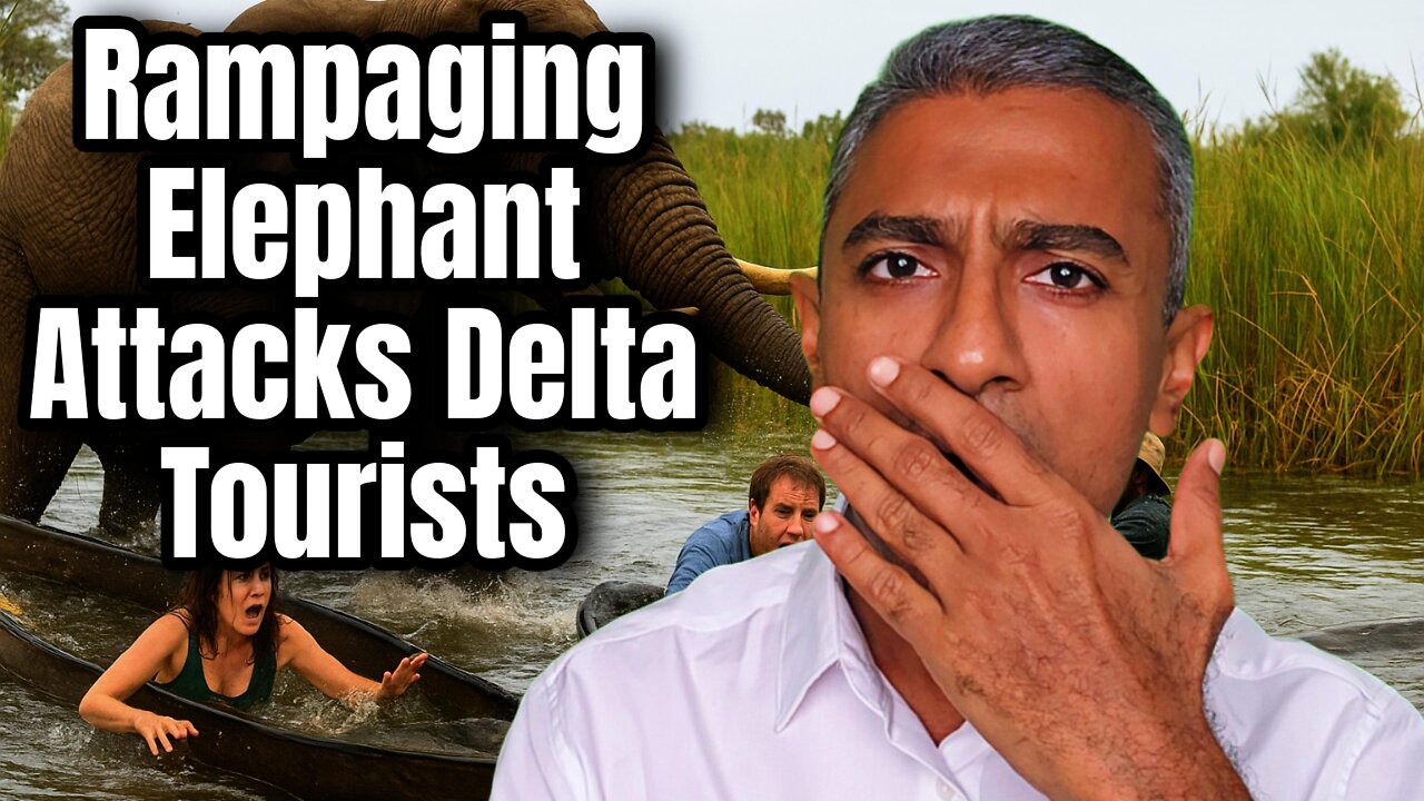 Rampaging Elephant Flips Safari Canoes and Attacks Brit & US Tourists in Botswana’s Okavango Delta