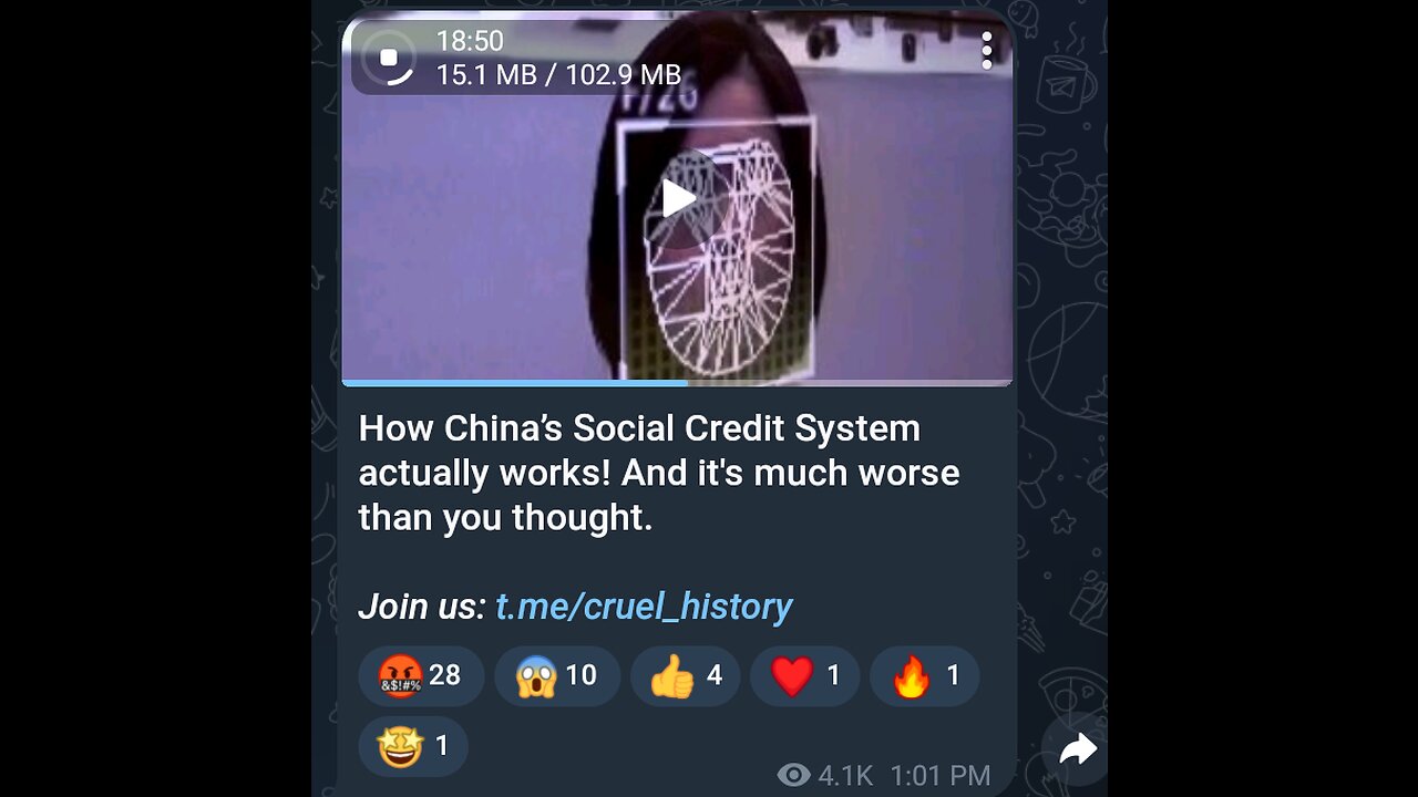 Documentary: The Social Credit System in China