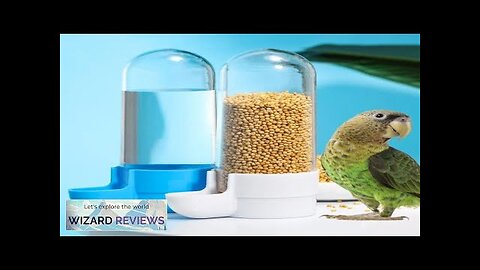 Hanging Pet Feeder Squirrel Parrot Water Dispenser Pet Bird Food Box Cage Review