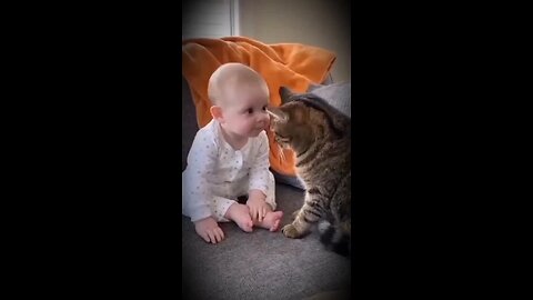 разговор двух