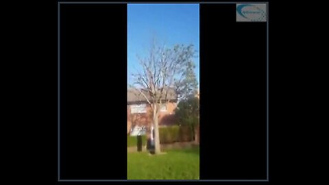 An example of a 5G slow kill. It kills plants and animals. It will kill us also if we don't stop it