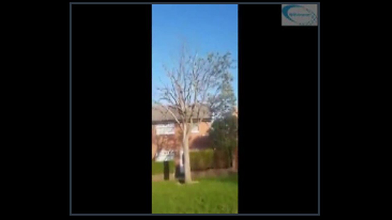 An example of a 5G slow kill. It kills plants and animals. It will kill us also if we don't stop it